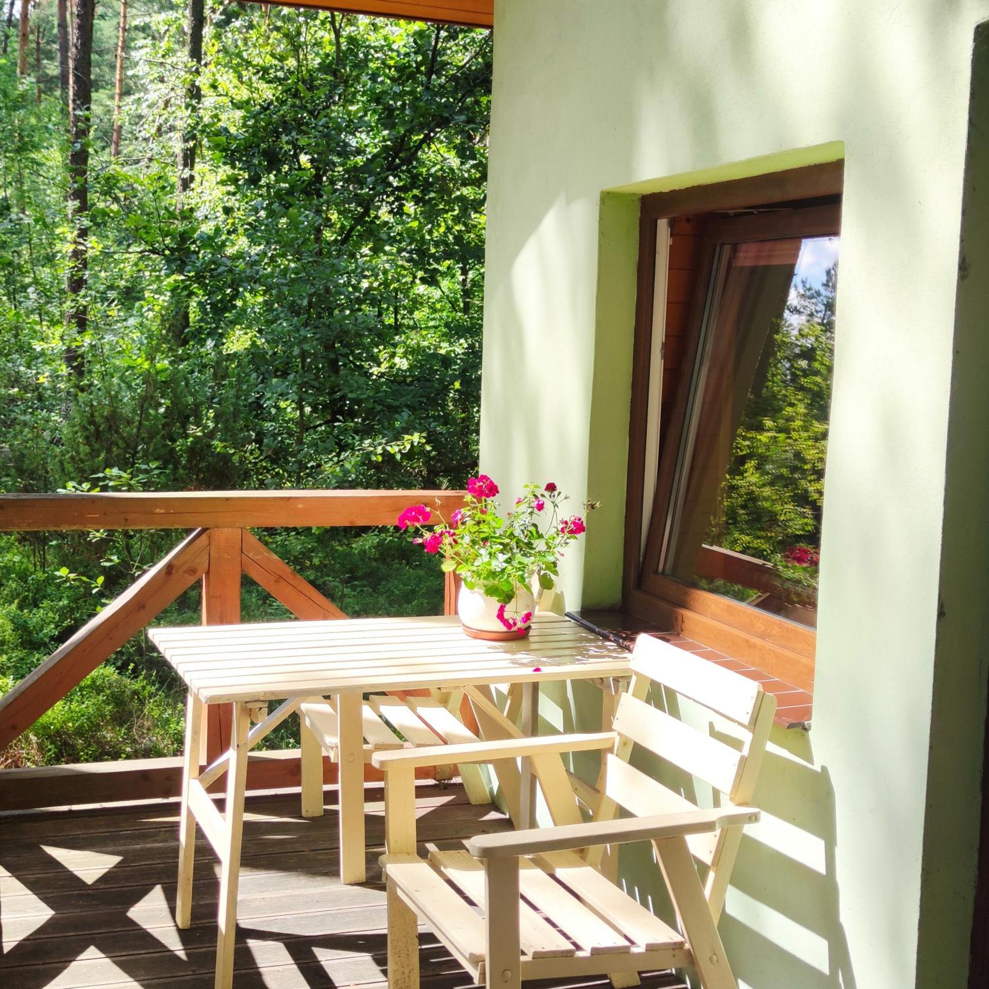 Niezapominajka-Jura Villa Niegowa Exteriör bild