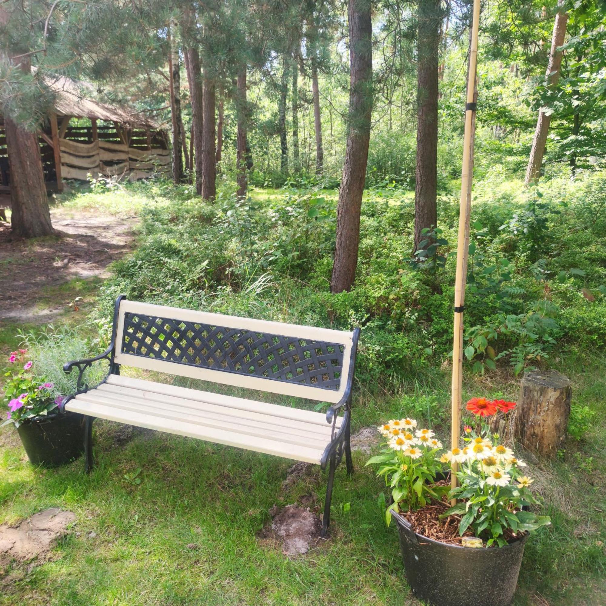 Niezapominajka-Jura Villa Niegowa Exteriör bild